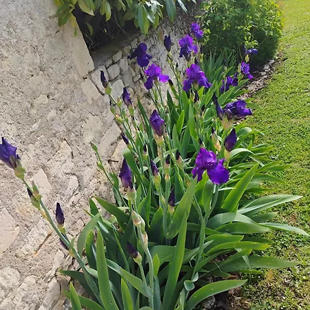 Дом отдыха Au Paradis De Bb Bieville-Beuville