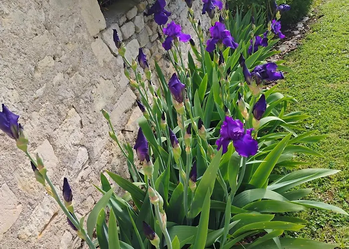 בית נופש Au Paradis De Bb Bieville-Beuville